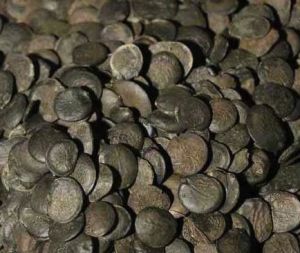Griffonia Simplicifolia Seed, Packaging Type : Black for Agriculture
