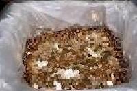 Bronze Scrap Bronze Scrap