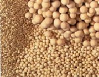 Molecular Sieves - (competitive Price)