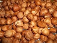 Raw Hazelnut