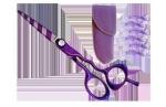 Hair Scissors Hair Scissors