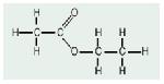 Ethyl Acetate - (ea)