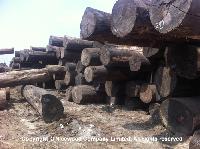 Balau Round Log Wood