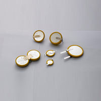 Lithium Coin Cell Battery 24.5mm*5.0mm