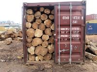 Sudan Teak Logs