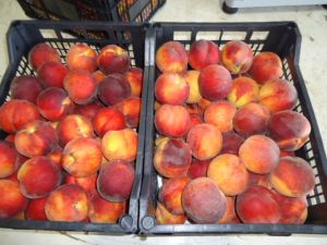 Fresh Peaches