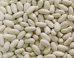 High Quality Middle White Kidney Beans