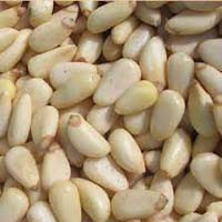 Pine Nut Kernels with High Quality
