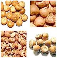 Dried Betel Nut (bn - 02)
