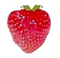 Strawberry - 02