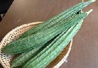 Turia (Ridge Gourd)