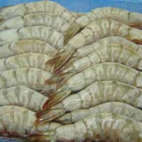 Frozen White Shrimp