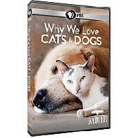 Why We Love Cats, Dogs