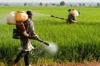 agriculture pesticides