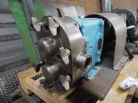 rotary positive displacement pumps