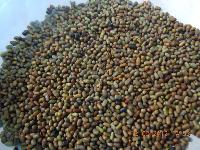 sesbania seed