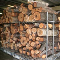 Sandalwood Logs