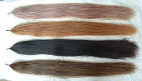 Horse Tail Hair
