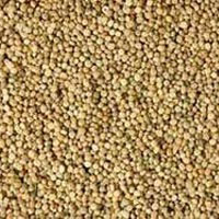 Guar Gum Seeds