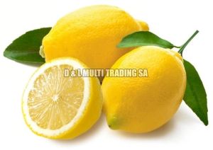 fresh lemon,  Usage : Sour