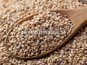 Sesame Seeds 1
