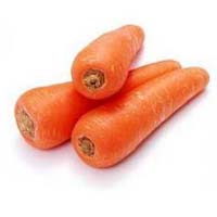 Fresh Carrot