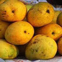 Fresh Balamani Mango