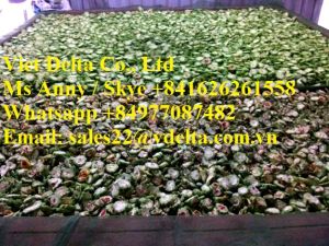 Dried Natural Bitter Melon for Food, tea