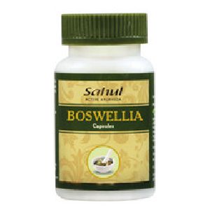Boswellia Capsule (Shallaki)