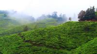Hill Station Packages Kerala