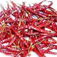 4884 Dried Red Chilli