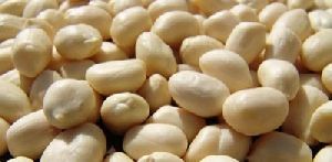 Blanched Peanut