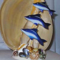 Shell Dolphins