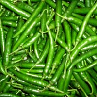 fresh green chilli