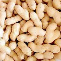 Shelled Groundnut