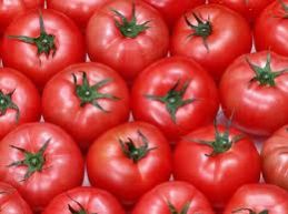 fresh tomato,  Speciality : Rich In Taste, Hygienic, Natural Taste, Healthy
