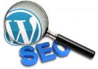 Seo Training Course