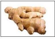 fresh ginger