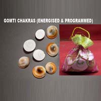 Gomti Chakra Energised & Programmed