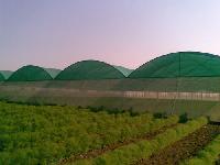 Greenhouse Services