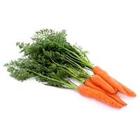 Fresh Carrot