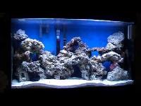 marine tanks