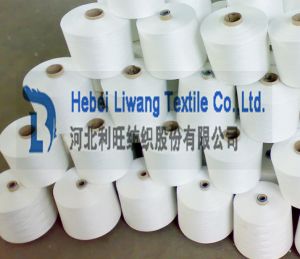 100% Polyester Spun Yarn 30s/1