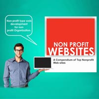 Non Profit Web Development Services