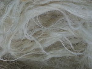 Sisal Fiber