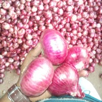 fresh red onion