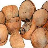 coconut shell, Packaging Type : Bag, Packaging Size : 1kg, 2kg, 5kg at Rs  11 / Tonn in Sivaganga