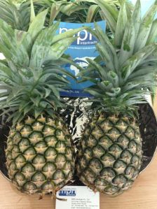 Fresh Thai Pineapple