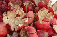 Dry Pomegranate Peel/ Rind