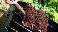 Compost Fertilizer